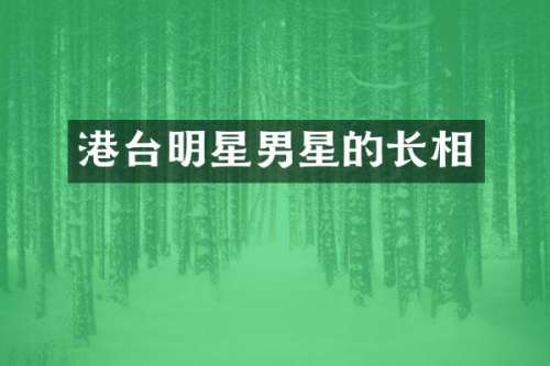 港台明星男星的长相