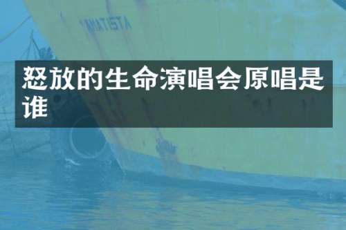 怒放的生命演唱会原唱是谁