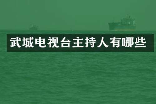 武城电视台主持人有哪些