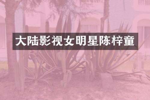 大陆影视女明星陈梓童