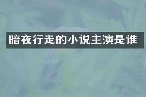 暗夜行走的小说主演是谁