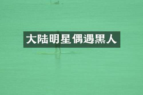 大陆明星偶遇黑人