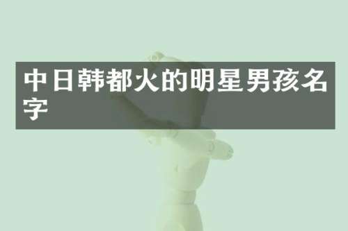 中日韩都火的明星男孩名字