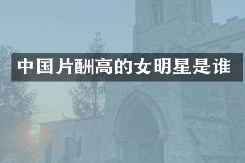中国片酬高的女明星是谁
