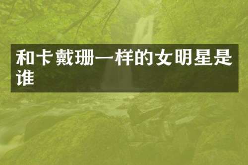 和卡戴珊一样的女明星是谁