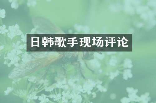 日韩歌手现场评论
