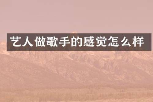艺人做歌手的感觉怎么样