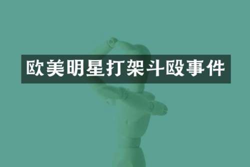 欧美明星打架斗殴事件
