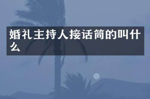 婚礼主持人接话筒的叫什么