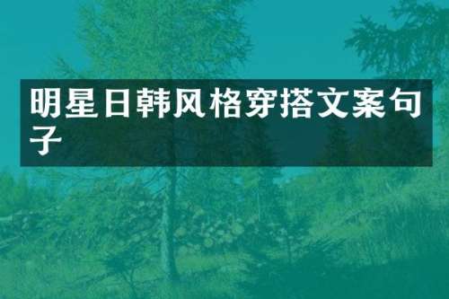 明星日韩风格穿搭文案句子