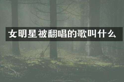 女明星被翻唱的歌叫什么
