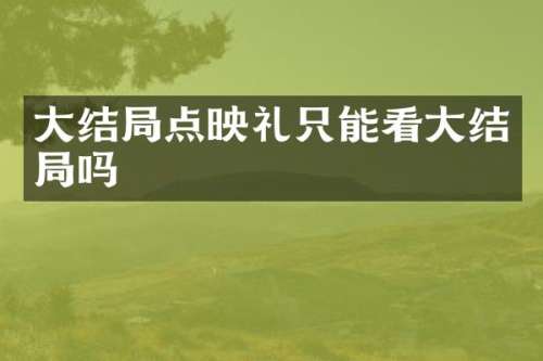 大结局点映礼只能看大结局吗