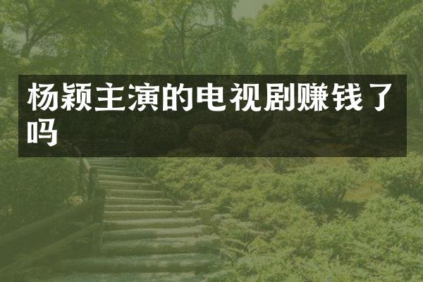 杨颖主演的电视剧赚钱了吗