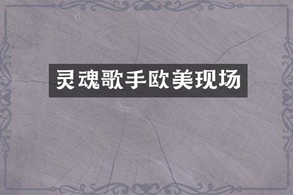灵魂歌手欧美现场