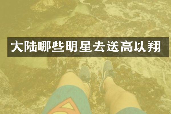 大陆哪些明星去送高以翔