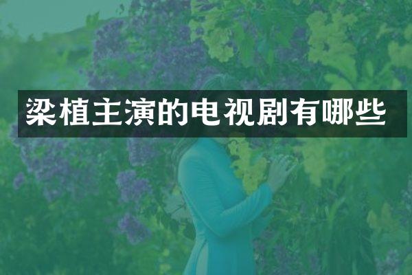 梁植主演的电视剧有哪些