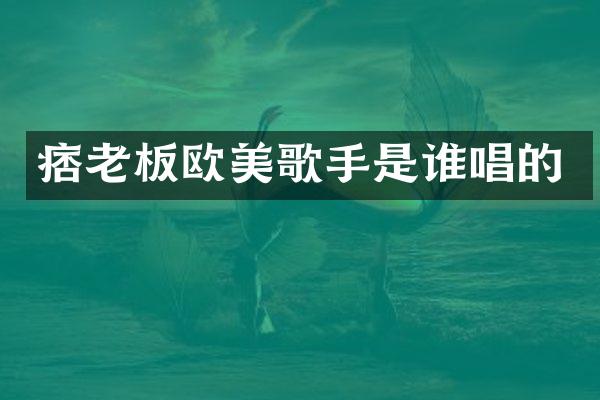 痞老板欧美歌手是谁唱的