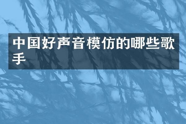 中国好声音模仿的哪些歌手