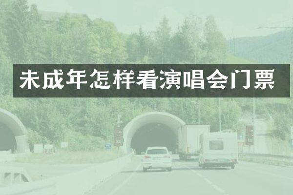 未成年怎样看演唱会门票
