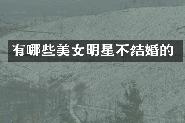 有哪些明星不结婚的