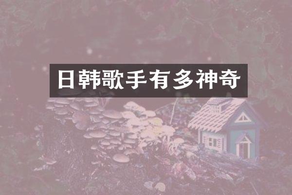 日韩歌手有多神奇
