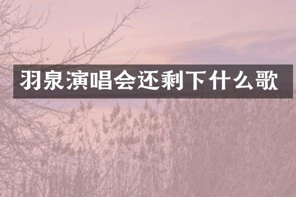 羽泉演唱会还剩下什么歌