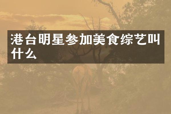 港台明星参加美食综艺叫什么