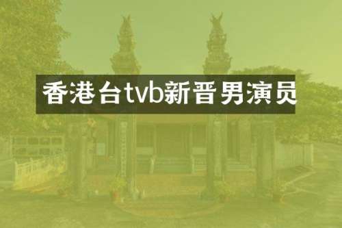 香港台tvb新晋男演员