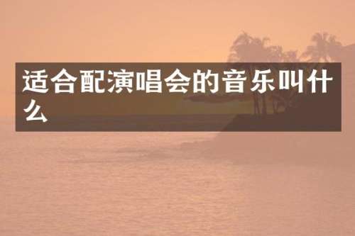 适合配演唱会的音乐叫什么