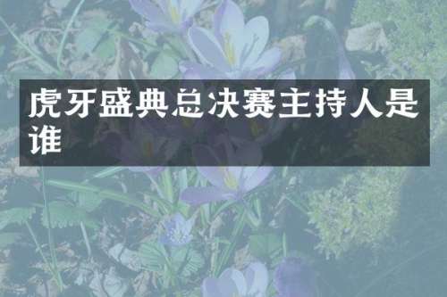 虎牙盛典总决赛主持人是谁