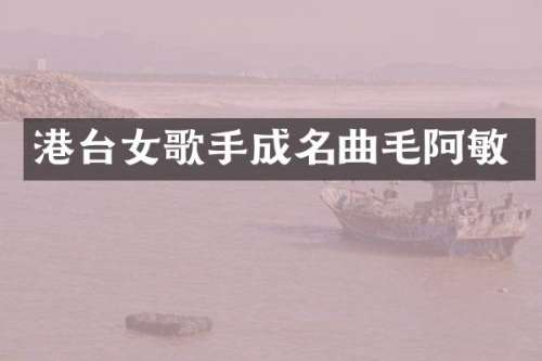 港台女歌手成名曲毛阿敏
