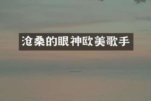 沧桑的眼神欧美歌手