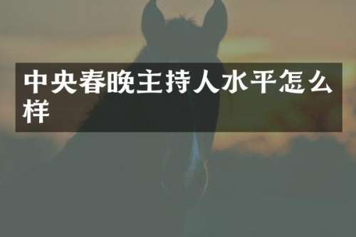 中央主持人水平怎么样