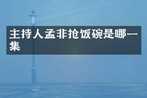 主持人孟非抢饭碗是哪一集