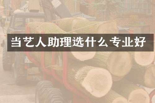 当艺人助理选什么专业好