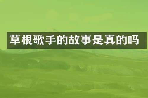 草根歌手的故事是真的吗