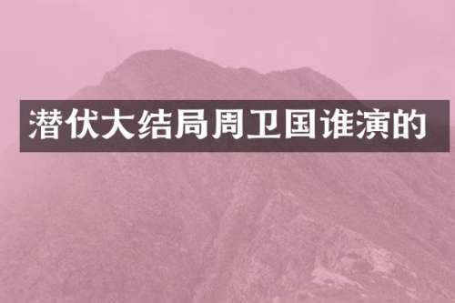 潜伏大结局周卫国谁演的