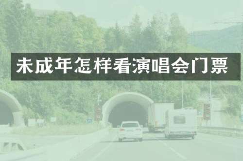 未成年怎样看演唱会门票