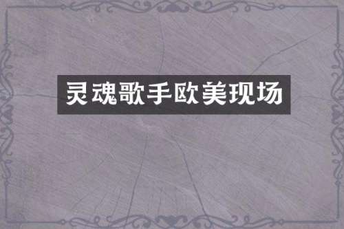 灵魂歌手欧美现场