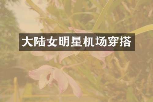 大陆女明星机场穿搭