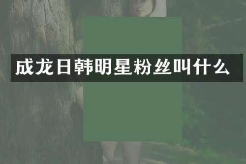 成龙日韩明星粉丝叫什么