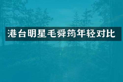 港台明星毛舜筠年轻对比