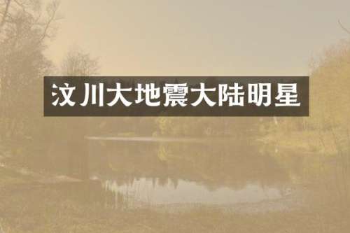 汶川大地震大陆明星