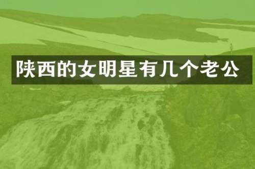 陕西的女明星有几个老公