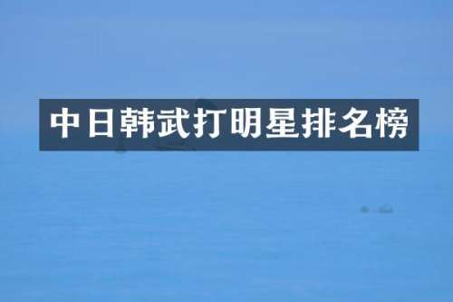 中日韩武打明星排名榜