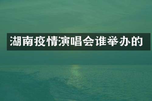 湖南疫情演唱会谁举办的
