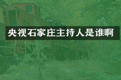 央视石家庄主持人是谁啊