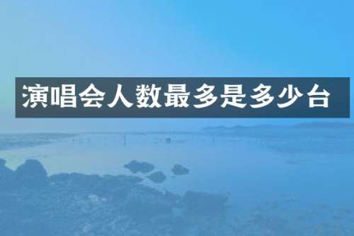 演唱会人数最多是多少台