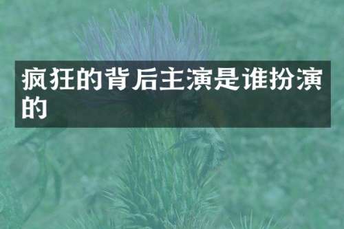 疯狂的背后主演是谁扮演的