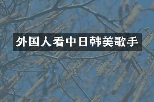 外国人看中日韩美歌手